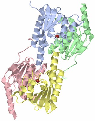 Image Biological Unit 3