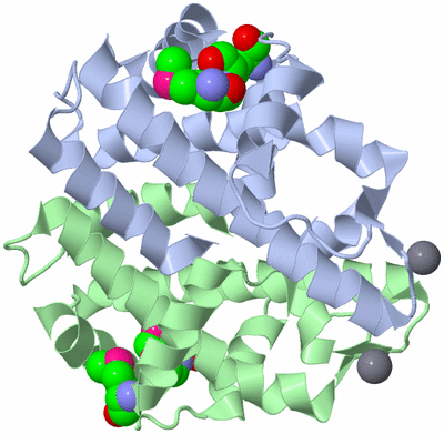 Image Biological Unit 1
