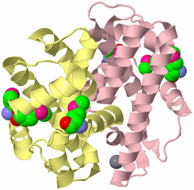 Image Biological Unit 2