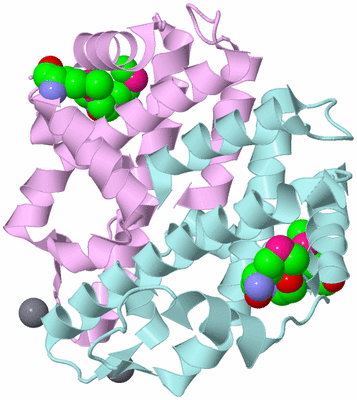 Image Biological Unit 3
