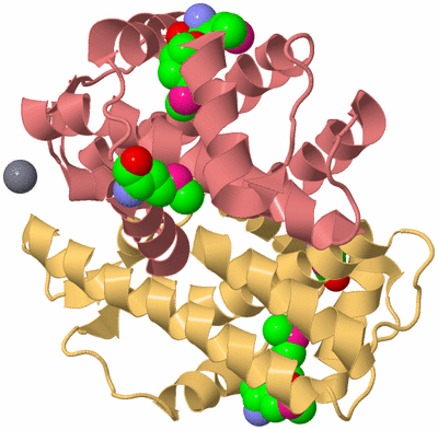 Image Biological Unit 4