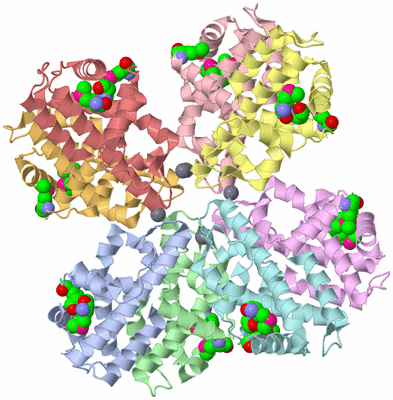 Image Biological Unit 5