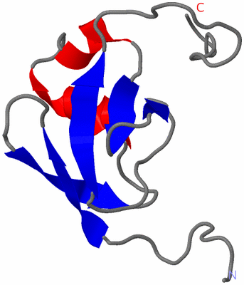 Image NMR Structure - model 1