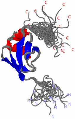 Image NMR Structure - all models