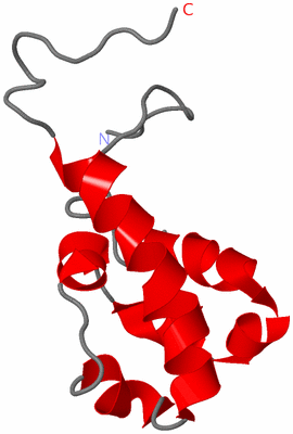 Image NMR Structure - model 1