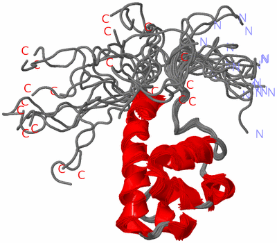 Image NMR Structure - all models