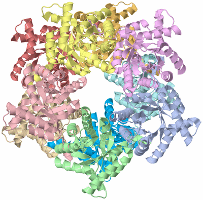 Image Asym./Biol. Unit