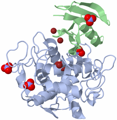 Image Asym./Biol. Unit