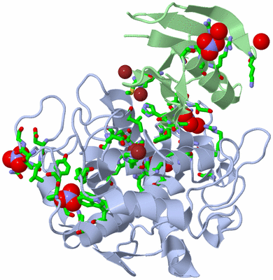 Image Asym./Biol. Unit - sites