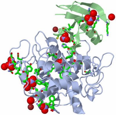 Image Asym./Biol. Unit - sites