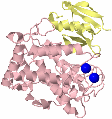 Image Biological Unit 2