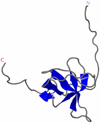 Image NMR Structure - model 1