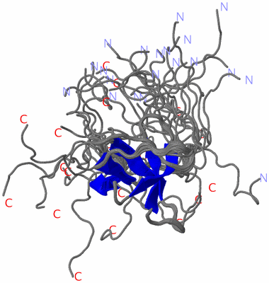 Image NMR Structure - all models