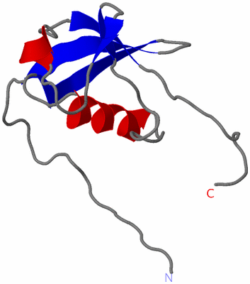 Image NMR Structure - model 1