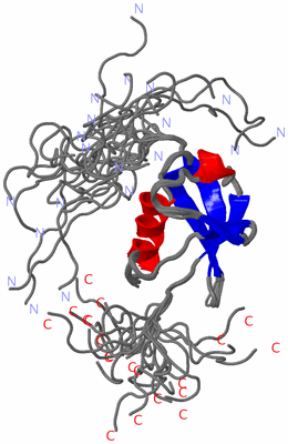 Image NMR Structure - all models