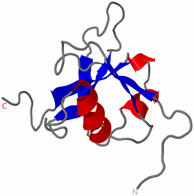 Image NMR Structure - model 1