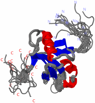 Image NMR Structure - all models