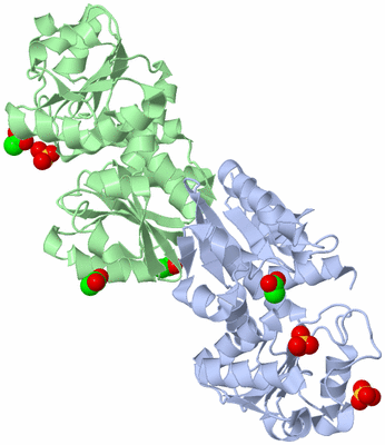 Image Asym./Biol. Unit