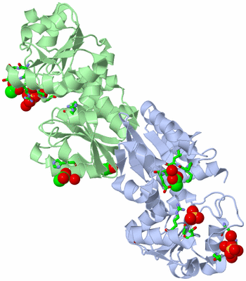 Image Asym./Biol. Unit - sites