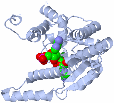 Image Biological Unit 1