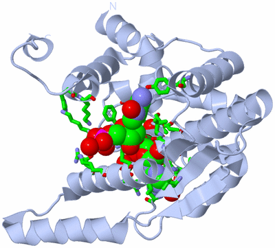 Image Biol. Unit 1 - sites