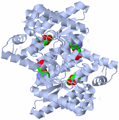 Image Biological Unit 2