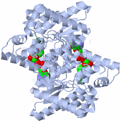 Image Biological Unit 2