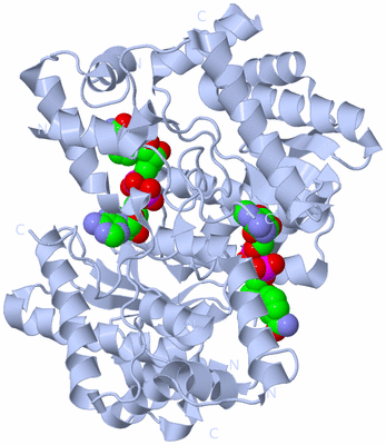 Image Biological Unit 2