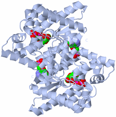 Image Biological Unit 1