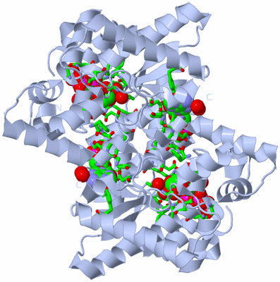 Image Biol. Unit 1 - sites