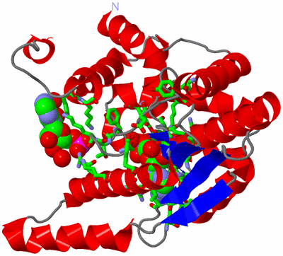 Image Asym. Unit - sites