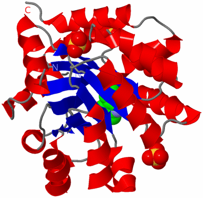 Image Asym./Biol. Unit