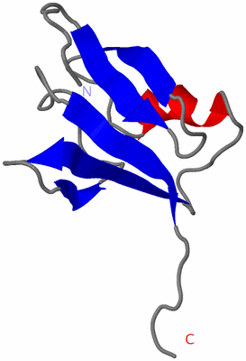 Image NMR Structure - model 1