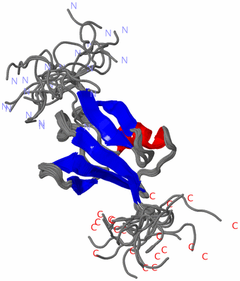 Image NMR Structure - all models