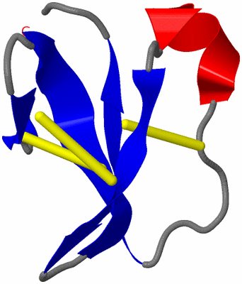 Image NMR Structure - model 1