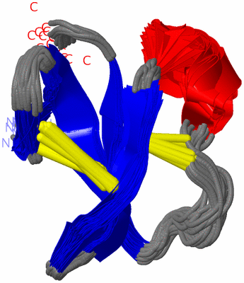 Image NMR Structure - all models