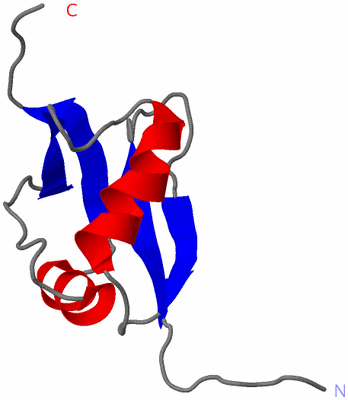 Image NMR Structure - model 1