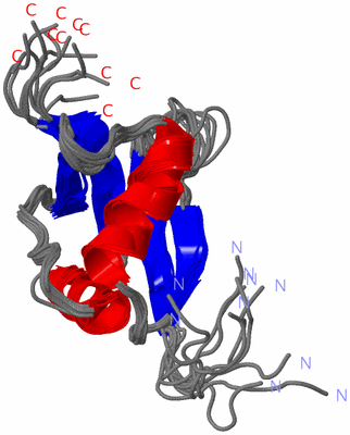 Image NMR Structure - all models