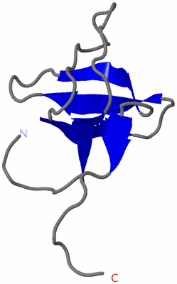 Image NMR Structure - model 1