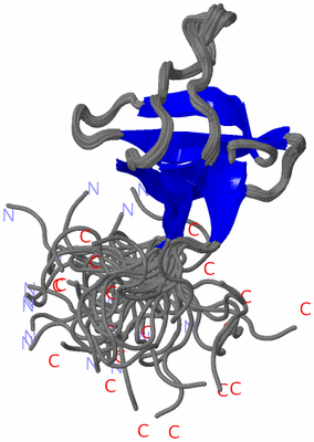 Image NMR Structure - all models