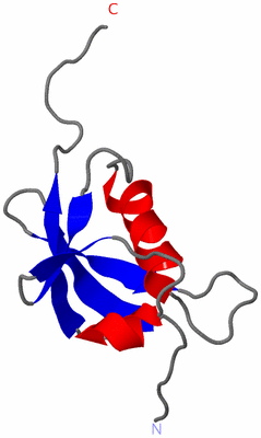 Image NMR Structure - model 1