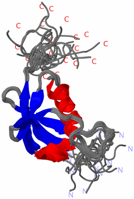 Image NMR Structure - all models