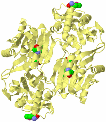 Image Biological Unit 3