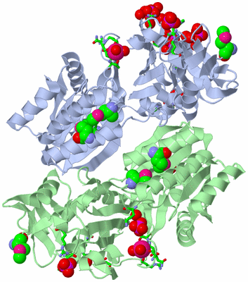 Image Biol. Unit 1 - sites