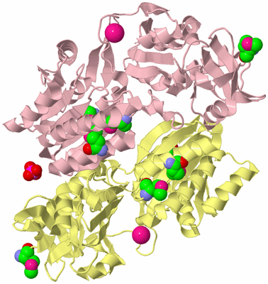 Image Biological Unit 2