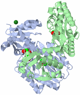 Image Asym./Biol. Unit