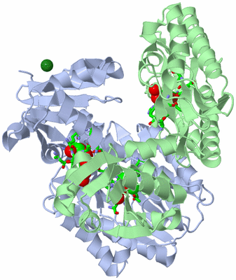 Image Asym./Biol. Unit - sites