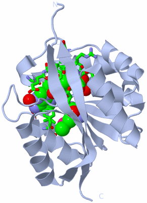 Image Biol. Unit 1 - sites