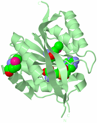 Image Biological Unit 2