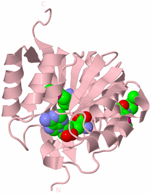 Image Biological Unit 3